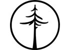 Big Tree