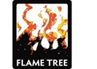 Flame Tree