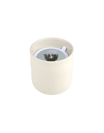 AROMATIC CANDLE WHISPERS OF SAGE 289g 04-36485  Kerzen