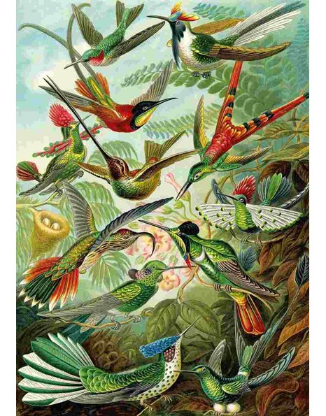 KS PUZZLE ART GALLERY HUMMINGBIRDS 1500pcs
