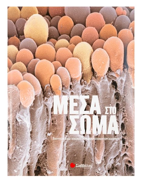 ΜΕΣΑ ΣΤΟ ΣΩΜΑ