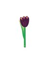 ΣΕΛΙΔΟΔΕΙΚΤΗΣ IF FLOWER 16510 PURPLE TULIP