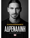 ΑΔΡΕΝΑΛΙΝΗ