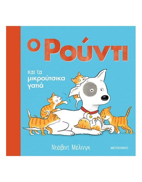 Ο ΡΟΥΝΤΙ ΚΑΙ ΤΑ ΜΙΚΡΟΥΤΣΙΚΑ ΓΑΤΙΑ