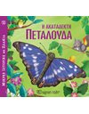 LITTLE ANIMAL TALES 12 - THE SNOBBISH BUTTERFLY