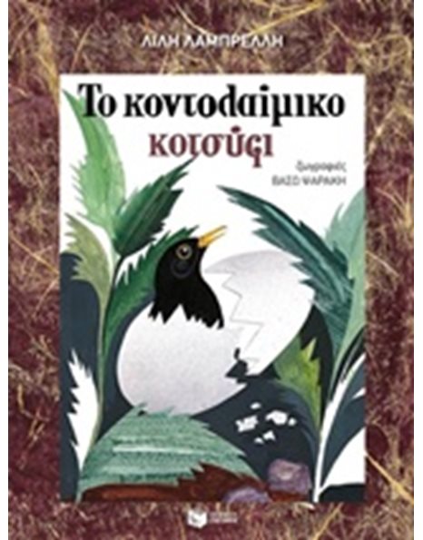 ΤΟ ΚΟΝΤΟΛΑΙΜΙΚΟ ΚΟΤΣΥΦΙ