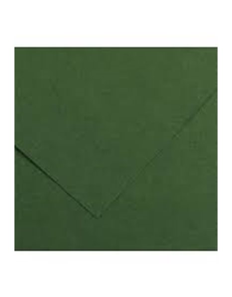 ΧΑΡΤΙ CANSON COLORLINE 50x70 220gr 31 GREEN FIR TREE