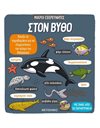 ΣΤΟΝ ΒΥΘΟ