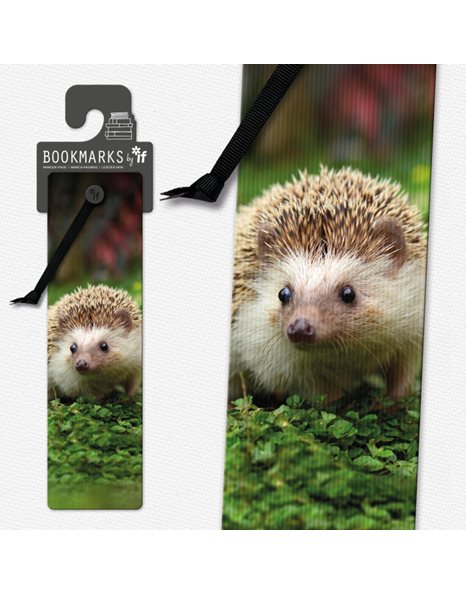 ΣΕΛΙΔΟΔΕΙΚΤΗΣ IF 3D 15408 HEDGEHOG