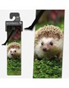 ΣΕΛΙΔΟΔΕΙΚΤΗΣ IF 3D 15408 HEDGEHOG
