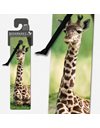 ΣΕΛΙΔΟΔΕΙΚΤΗΣ IF 3D 15406 GIRAFFE