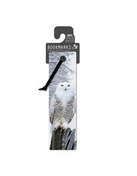 ΣΕΛΙΔΟΔΕΙΚΤΗΣ IF 3D 15411 SNOWY OWL