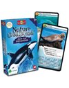 AS NATURE CHALLENGE SEA ANIMALS