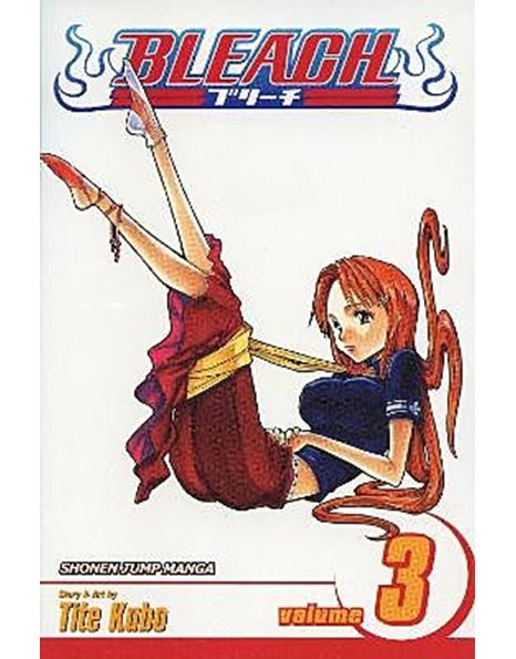 BLEACH VOL.3