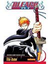 BLEACH VOL.1