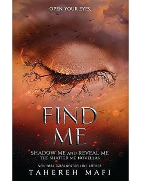 SHATTER ME 4.5-5.5: FIND ME
