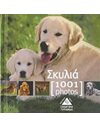 1001 PHOTOS - ΣΚΥΛΙΑ