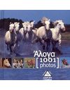 1001 PHOTOS - ΑΛΟΓΑ