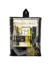HARRY POTTER BUMPER STATIONERY SET - HOGWARTS SHIELD