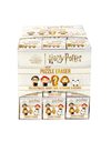 HARRY POTTER 3D PUZZLE ERASER - MYSTERY BOX