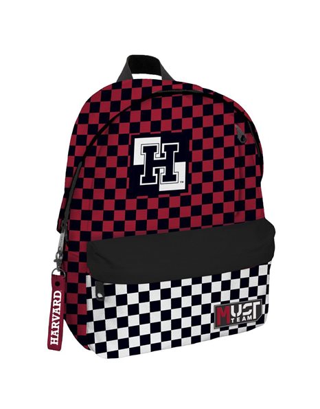 BACKPACK 32x17x42 1 MAIN CASE HARVARD