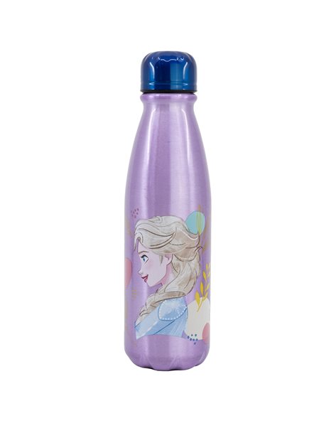 STOR ΜΠΟΥΚΑΛΙ ΑΛΟΥΜΙΝΙΟΥ 600ml FROZEN TRUST THE JOURNEY