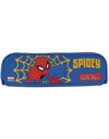 ΚΑΣΕΤΙΝΑ ΣΙΛΙΚΟΝΗΣ 20x5x6 SPIDERMAN