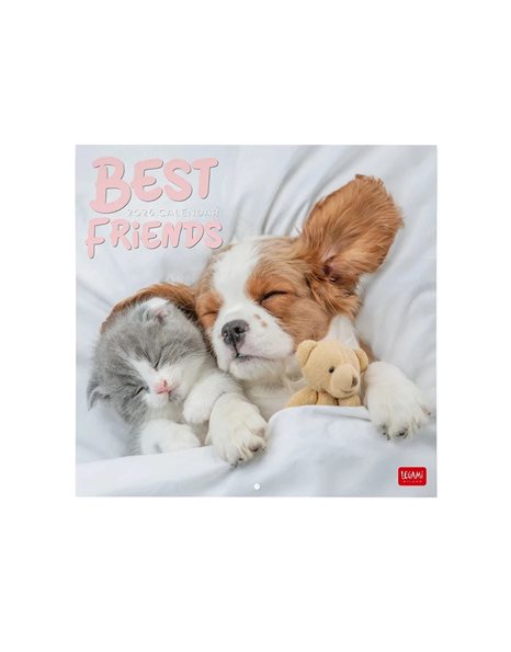 LEGAMI WALL CALENDAR 2026 - BEST FRIENDS 30x29