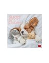 LEGAMI WALL CALENDAR 2026 - BEST FRIENDS 30x29