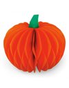 LEGAMI WHAT A PUMPKIN! - PUMPKIN