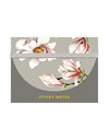 STICKY NOTES CEDON MAGNOLIE